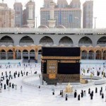 تعرف على فوائد 